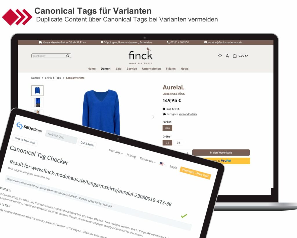 Shopware 6 Plugin: Canonical Tags für Varaianten